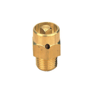 Purgeur air à clé 5×10